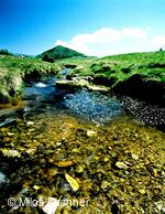 Folklorní soubor Šafrán