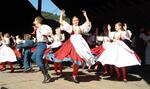 Folklorní festival Slezské dny