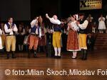 Jihočeské folklorní sdružení